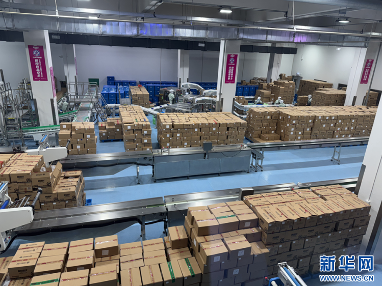 甘快看 甘肃永登——立足特色优势，激活食品销售新引擎，擘画县域经济高质量发展新图景